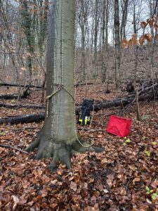 IMG_3837